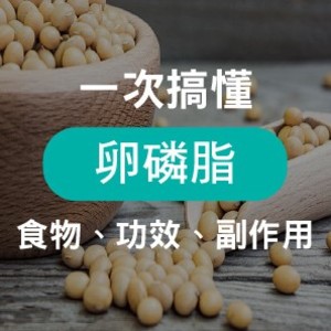 【2025最新】卵磷脂功效、副作用、食物來源一次看！懷孕與哺乳期該補充卵磷脂嗎？